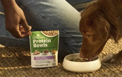 Free Wellness Natural Pet Food Sample
