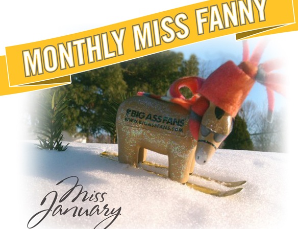 Free Foam Fanny (fb, first 1,250)