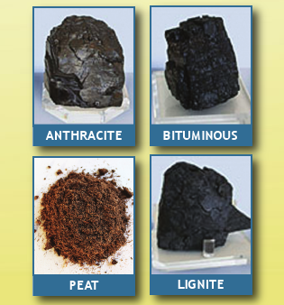 Free Coal Sample Kit for Teachers