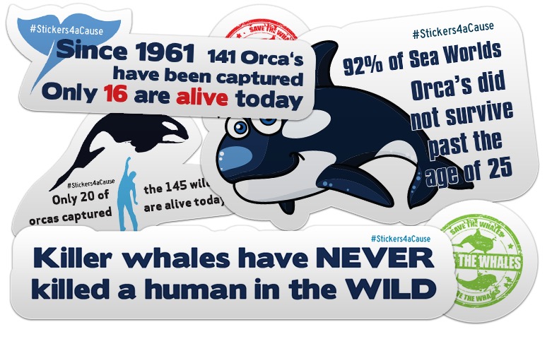 10 Free Orca Whales Stickers