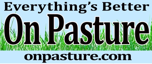 Free on Pasture Bumper Sticker