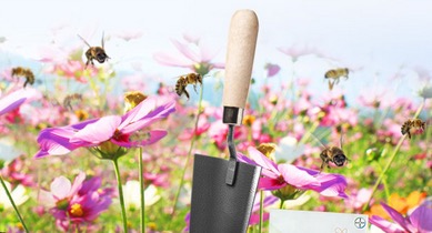 Free Seed Packet to Grow Flowers for Bees
