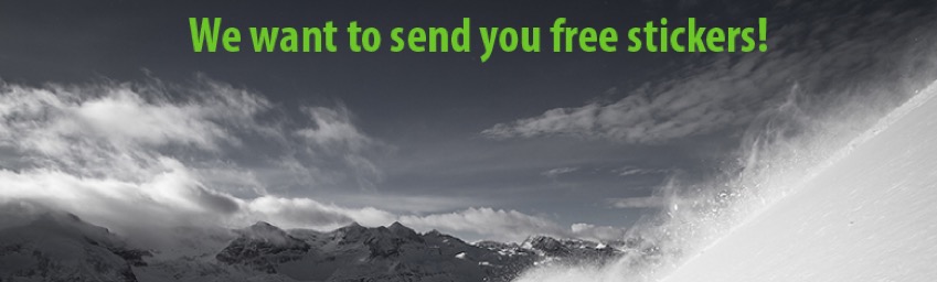 Free Liberty Skis Stickers