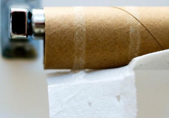 5 Free Recyclebank Points (Because You Asked: Is Tubeless Toilet Paper Better Than Recycled Toilet Paper?)