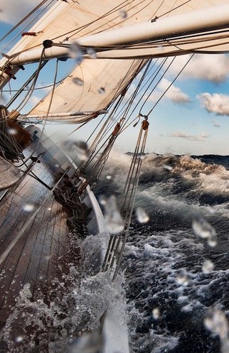 Free Southern Sail Collection Sticker