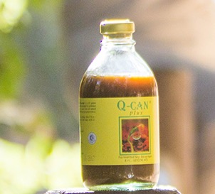 Free Q-CAN Plus Fermented Soy Nutritional Beverage Sample