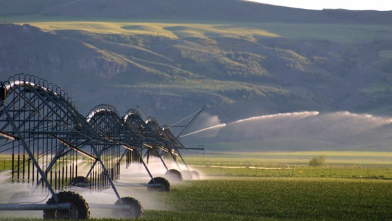 5 Free Recyclebank Points (The Water Cycle and Us)