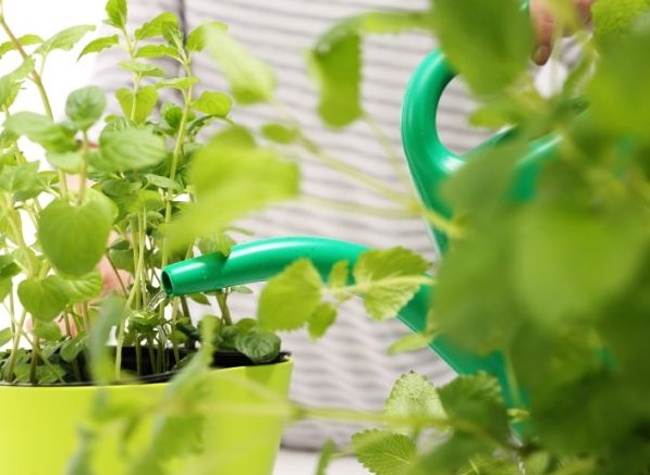 5 Free Recyclebank Points (The List: 5 More Green Tips From Mom)