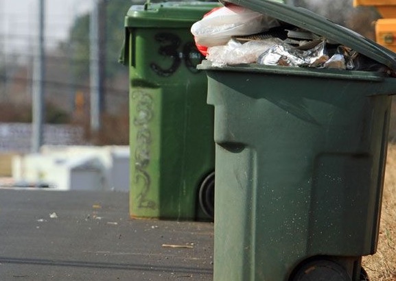 5 Free Recyclebank Points (Should I Bag My Curbside Recyclables?)