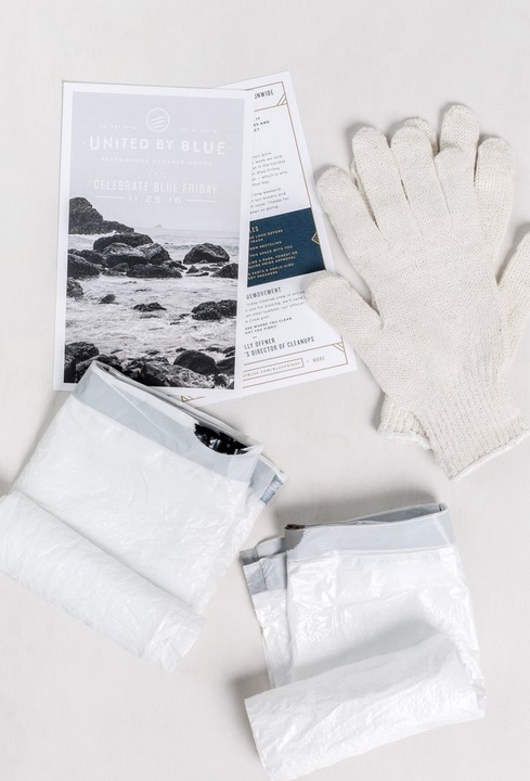 Free Blue Friday Cleanup Kit