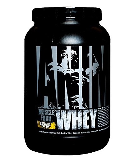 Free Universal Nutrition Animal Whey Protein Powder Supplement Sample