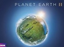 Free Planet Earth II: Season 1 - Islands HD Download