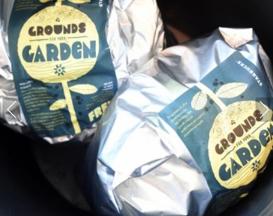 Starbucks: Free Coffee Grounds for Gardeners