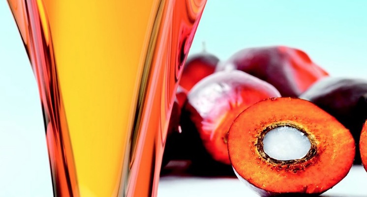 Free Malaysian Palm Oil  (Apply, Mom Ambassadors)