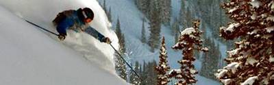 Free Alta Sticker
