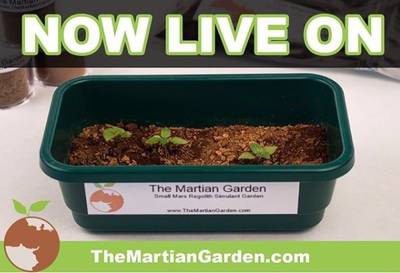 Free Martian Gardening Mojave Mars Simulant Sample