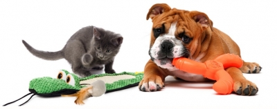 Free Toy for Your Pet From Hartz