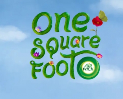 Free Wildflower Seeds