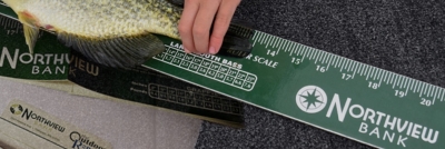 Free Fish Ruler