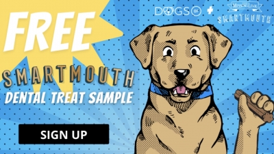 Free Smartmouth Dental Chews for Dogs Sample