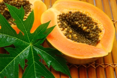 Free Herbal Goodness Papaya Leaf Tea Sample