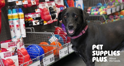 Free Toy or Treat for Your Pet at Pet Supplies Plus