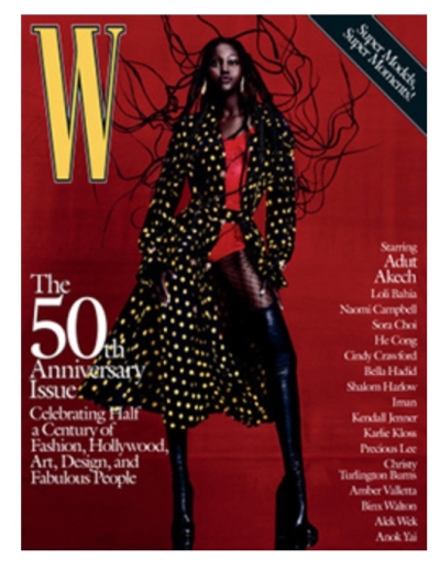 Free Subscription to W Magazine