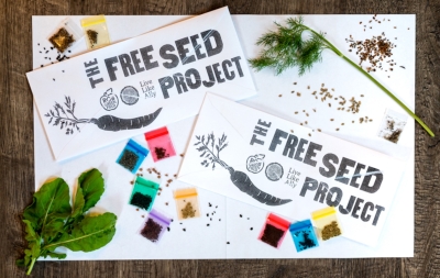 Free Seed Project Pack