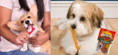 Free Hartz Oinkies Dog Treats Sample (Apply)