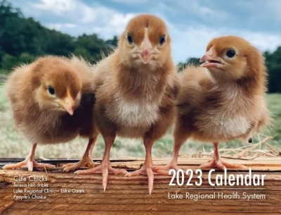 Free Lake Regional 2023 Wall Calendar