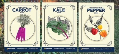 Free Carrot, Kale, and Pepper Seeds (WV Residents)