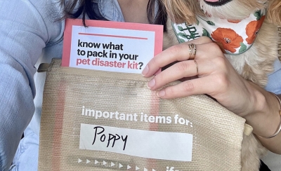 Free IFAW Pet Disaster Starter Kit