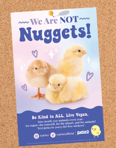 Free We Are NOT Nuggets Poster and Stickers