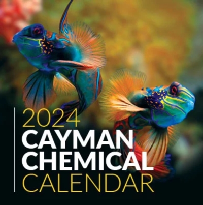 Free 2024 Cayman Calendar