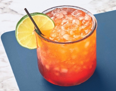 Free Tovolo Summer Freeze Party Kit (Apply)