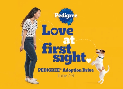 Love at First Sight: Free Dog Adoption (6/7 - 6/9)