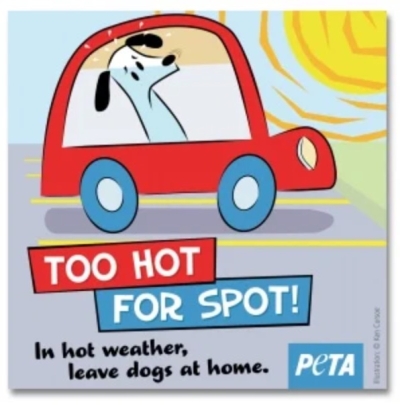Free Too Hot for Spot Window Decal