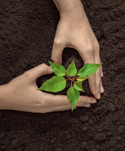 Free Plantable Seed Paper Heart