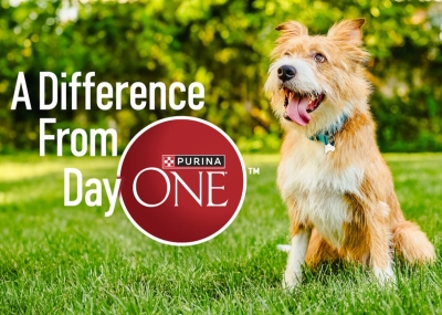 Free Purina One Wet Food