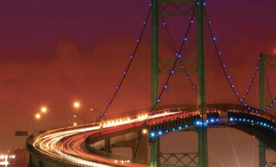 Free 2025 South Bay Pet Photo Calendar