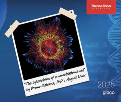 Free 2026 Gibco Calendar