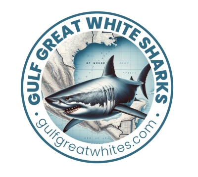 Free Gulf Great Whites Decal