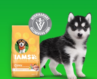 FREE Sample of IAMS Puppy Dry Food