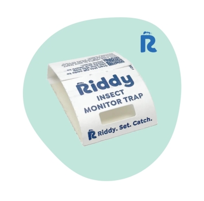 Free Riddy Insect Monitor Trap