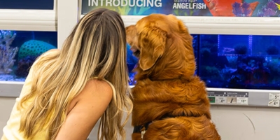 Free Petco In-Store Events