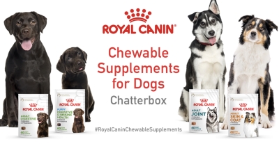 Free Royal Canin Chewable Supplements for Dogs (Apply)