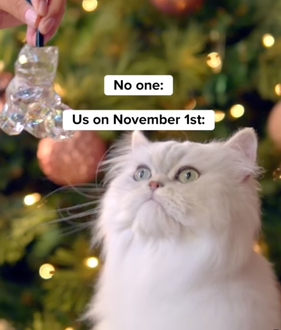 FREE Purina Feastivities 2025 Ornament