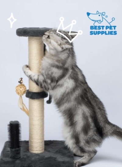 Free Catify Climb ‘N’ Scratch Post for Cat Owners (Apply)