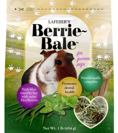 Free Berrie-Bale Mint for Guinea Pigs