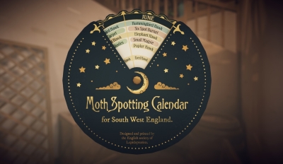 Free Botany Manor PC Game